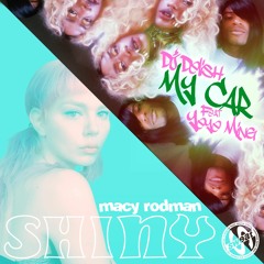Macy Rodman - Shiny