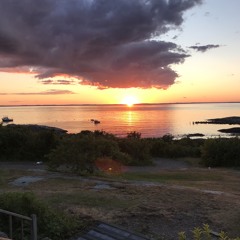 Summer Songbirds of Coastal New England