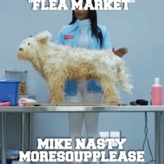 FleaMarket (Mike Nasty x MSP House Remix)