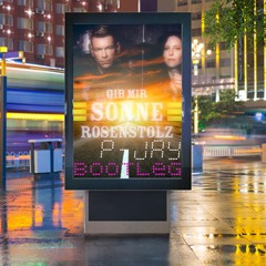 Rosenstolz - Gib Mir Sonne (P - Jay 2k18 Bootleg) (Snippet)