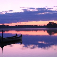 MLCbasement Freestyle 01