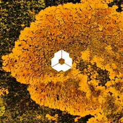 DNC LIM 079 - Silent Lake - Chirkev (Original Mix)