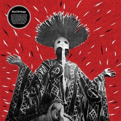 Moontribe - Moontribe (FTNLP004 - A1)