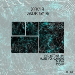 PREMIERE: Darien J - Tubular Synths (Th Moy Remix) [Polyptych]