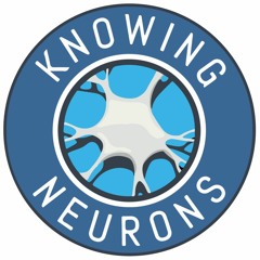 Uploading the Human Brain