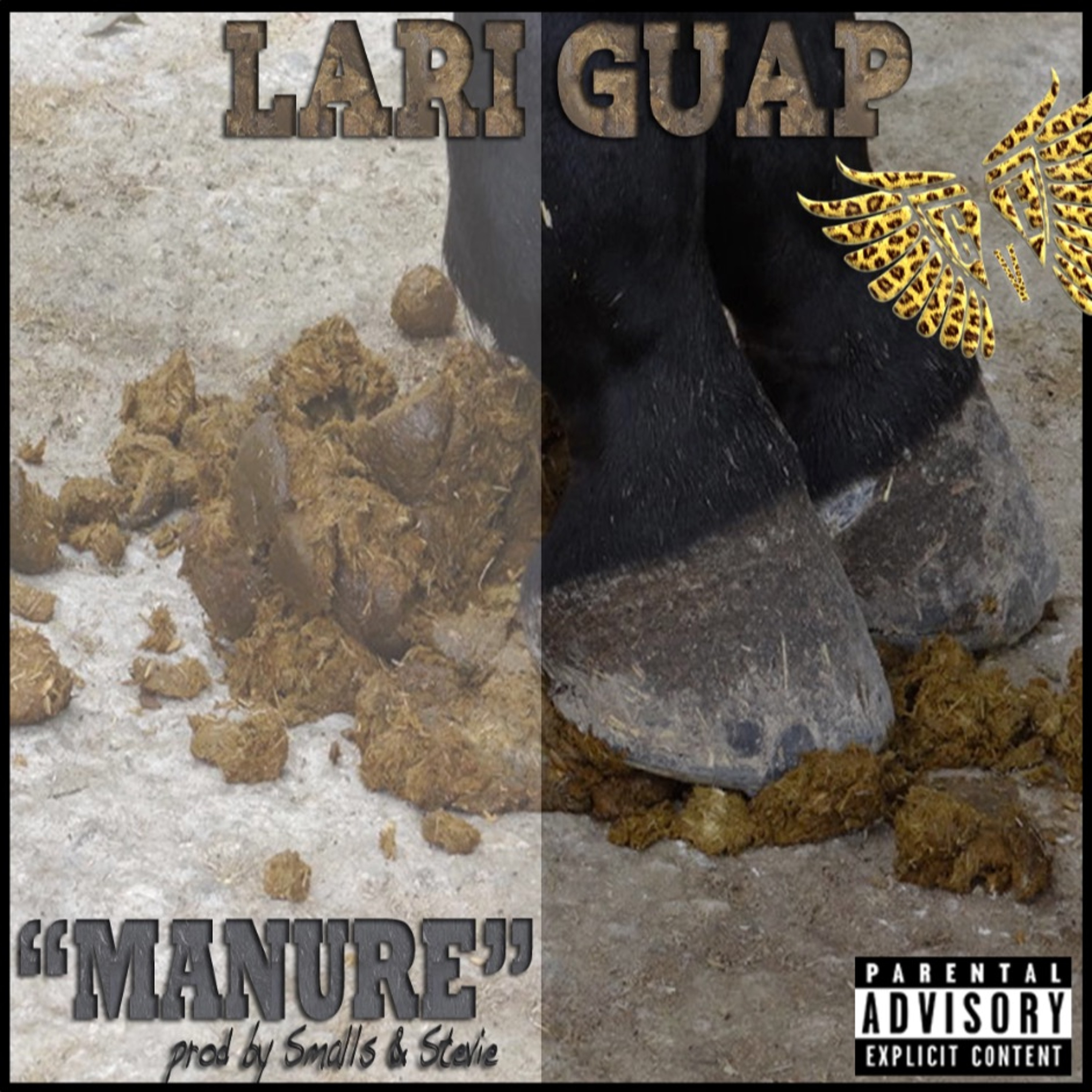 LARI GUAP