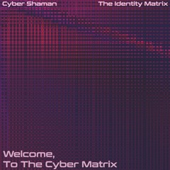 Behold! The Cyber Matrix - Cyber Shaman and The Identity Matrix