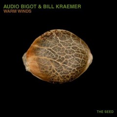 Bill Kraemer, Audio Bigot - Warm Winds (Orhan Solo Remix)snippet