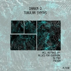 Premiere: Darien J - Tubular Synths (Allies For Everyone Remix)[Polyptych]