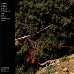 Len Leise - S.T.T.S (STW Premiere)