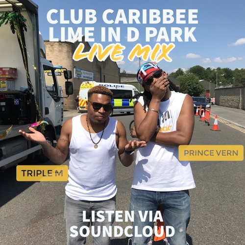 LIME IN D PARK LIVE MIX