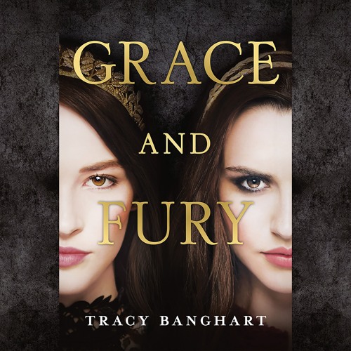 tracy banghart books tracy banghart books