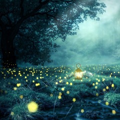 Ingenito - Fireflies