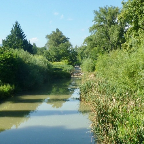 Adagio III