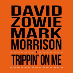 David Zowie & Mark Morrison - Trippin' On Me (Radio Edit)