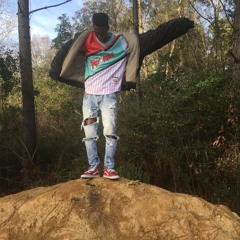 F A $ T $ H I T ft. NY