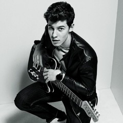 Shawn Mendes - In My Blood (LUX Remix)