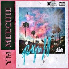 YM Meechie - Party In L.A.