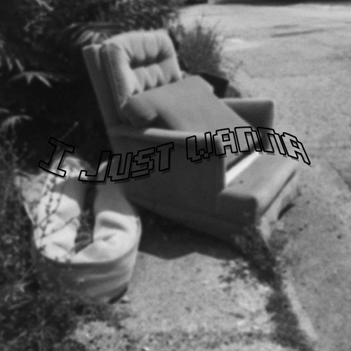 I Just Wanna