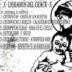 LIGRAMOS DEL CRACK // Crudopatas X Seco[Beats]