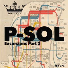 RSR 072 // P-SOL - Excursions Part 2