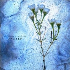 Cinematic Collection