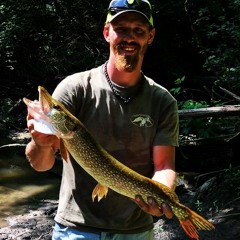 Tyler childers cover - feathered indian
