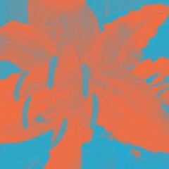 ゆり (Lily)  [Prod. By Shiro]