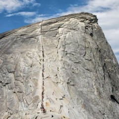 Please Give Me Your Hand