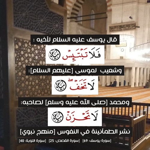 تلاوة من سورة يوسف للشيخ د.بندر بليله فجر الثلاثاء 4-11-1439هـ