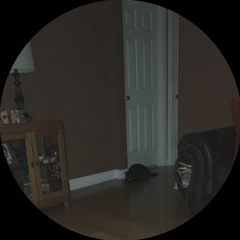 Let Me Love You (Down) - okni