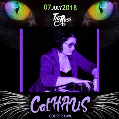 CatHAUS II Copper Owl II The PLUR Collective II Pride 2018