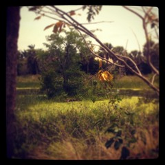 Lonesome Road