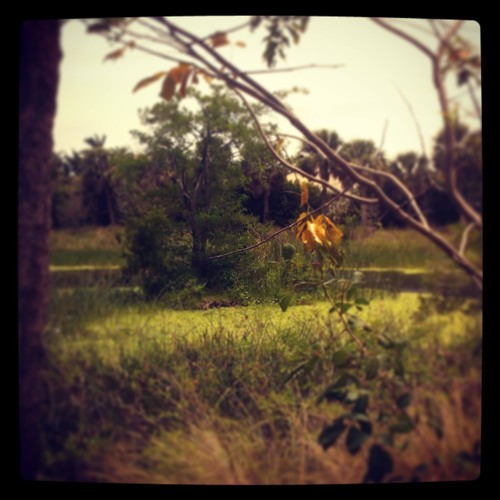 Lonesome Road
