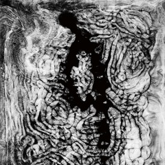 Forests 森林 - Disarray