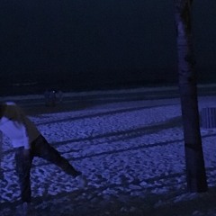 florida (prod. illuid haller)