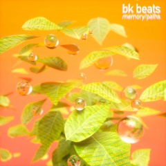BK Beats - Forest (hnrk Remix)