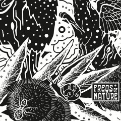 FUGLY @ Freqs of Nature Festival 2018