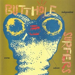 Who Was In My Room Last Night? (Butthole Surfers Cover)