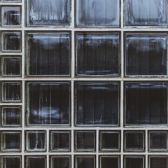 Я и твой кот