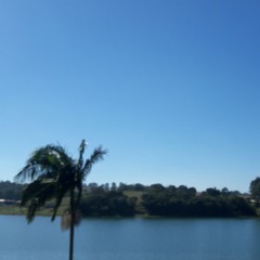 O Som Do Silêncio.mp3