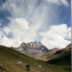 Interlude (Reflection)