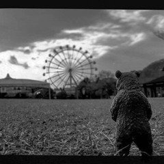 AUREL Manege frei! 2018