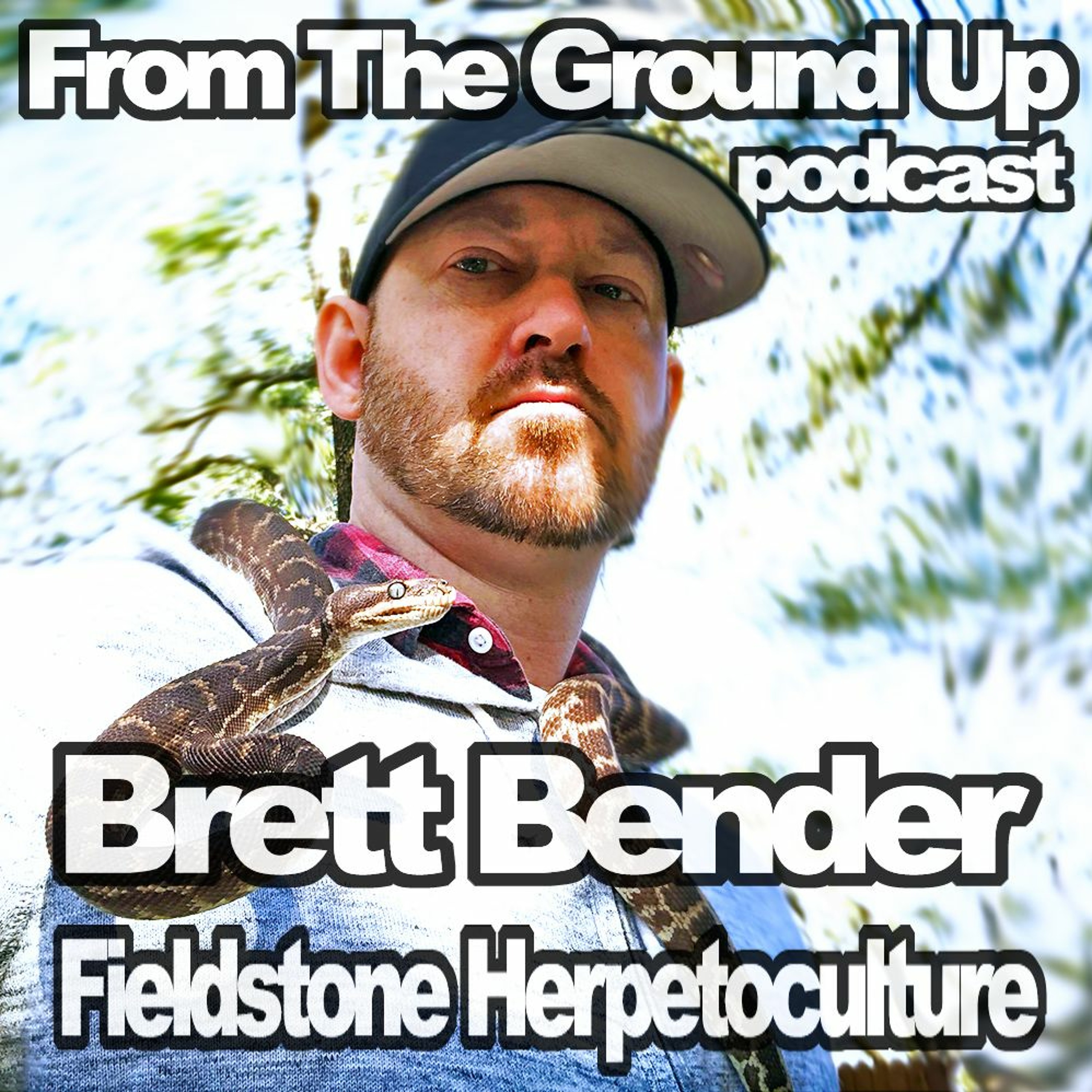 Modern Medusa Reptile Podcast - Where we talk everything cold-blooded (Snake Podcast)