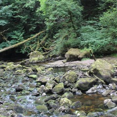 Cladagh River / Marble Arch Caves / Global Geopark / County Fermanagh