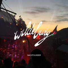 Nachtvlinder @ Vlinderstent Wildeburg 2018