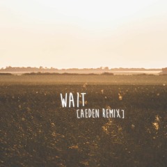 Maroon 5 - Wait [Aeden Remix]