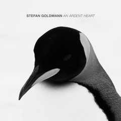 EXCLUSIVE: Stefan Goldmann - An Ardent Heart [Macro Recordings]