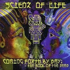 Stbb 593 [Brotha BxK.Dvai]