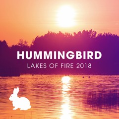 Hummingbird @ Thumper - Lakes Of Fire 2018 (Saturday Night)